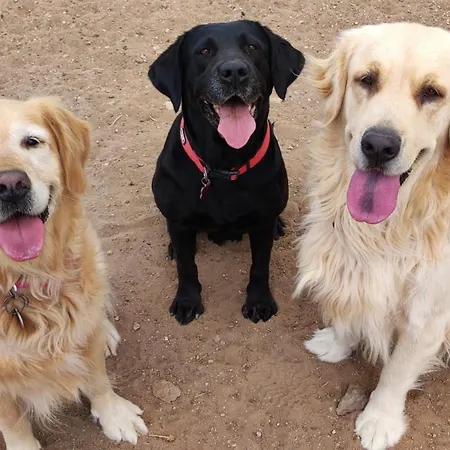 Vakantiehuis La Casita